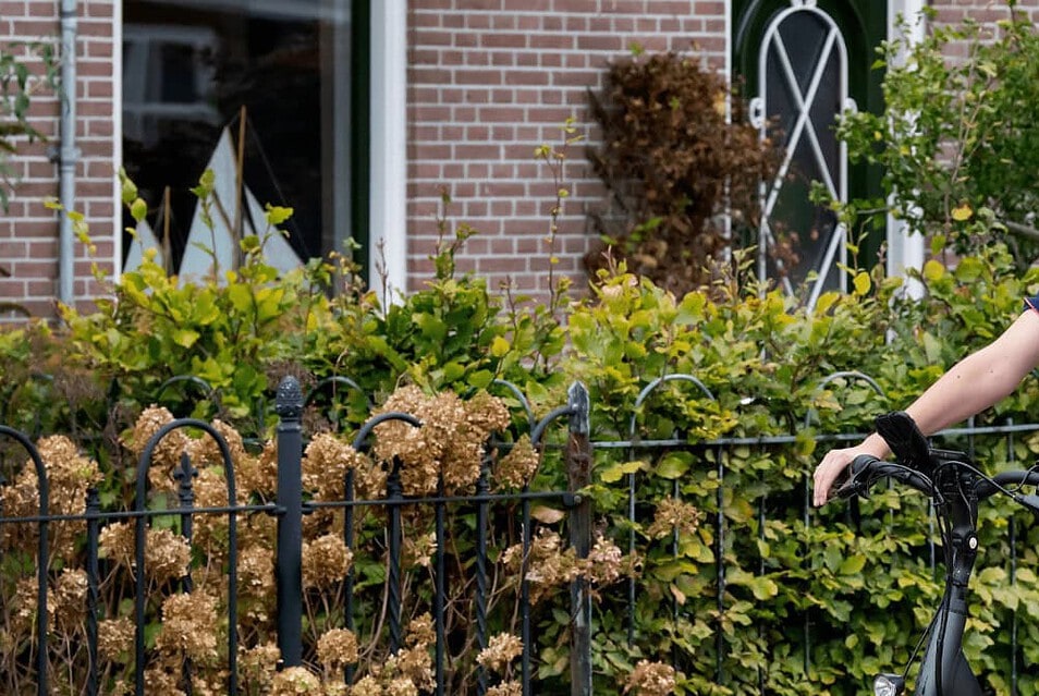 Wijkverpleegkundige afbeelding