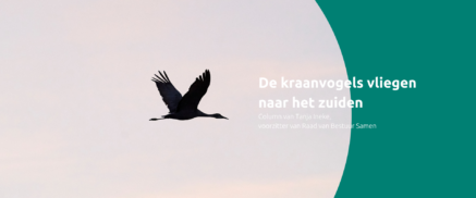De kraanvogels vliegen naar het zuiden